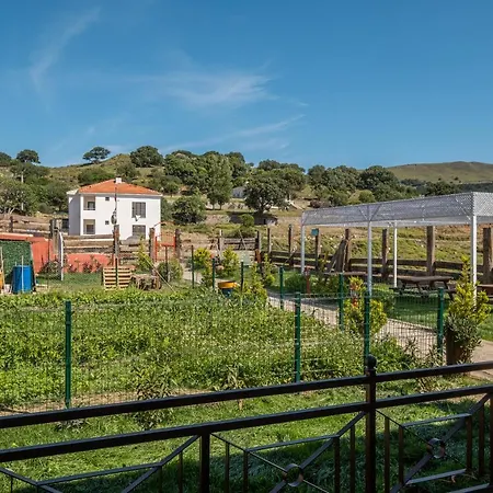 Casa de hóspedes Sahika