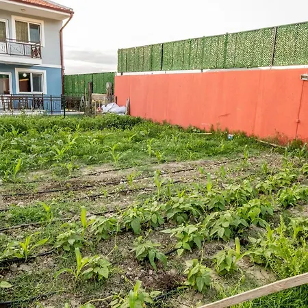 Gasthof Sahika İmroz